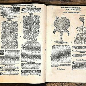 S181 Księga zielarska, Tabernaemonuts, 1591 r.