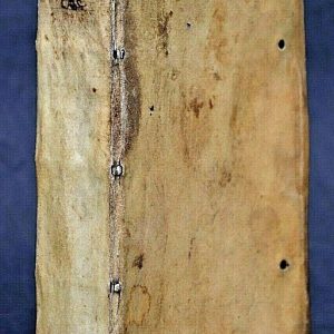 S786 Lis Przechera, 1584 r.