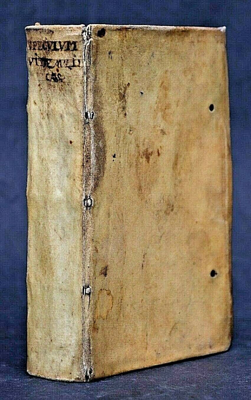 S786 Lis Przechera, 1584 r.