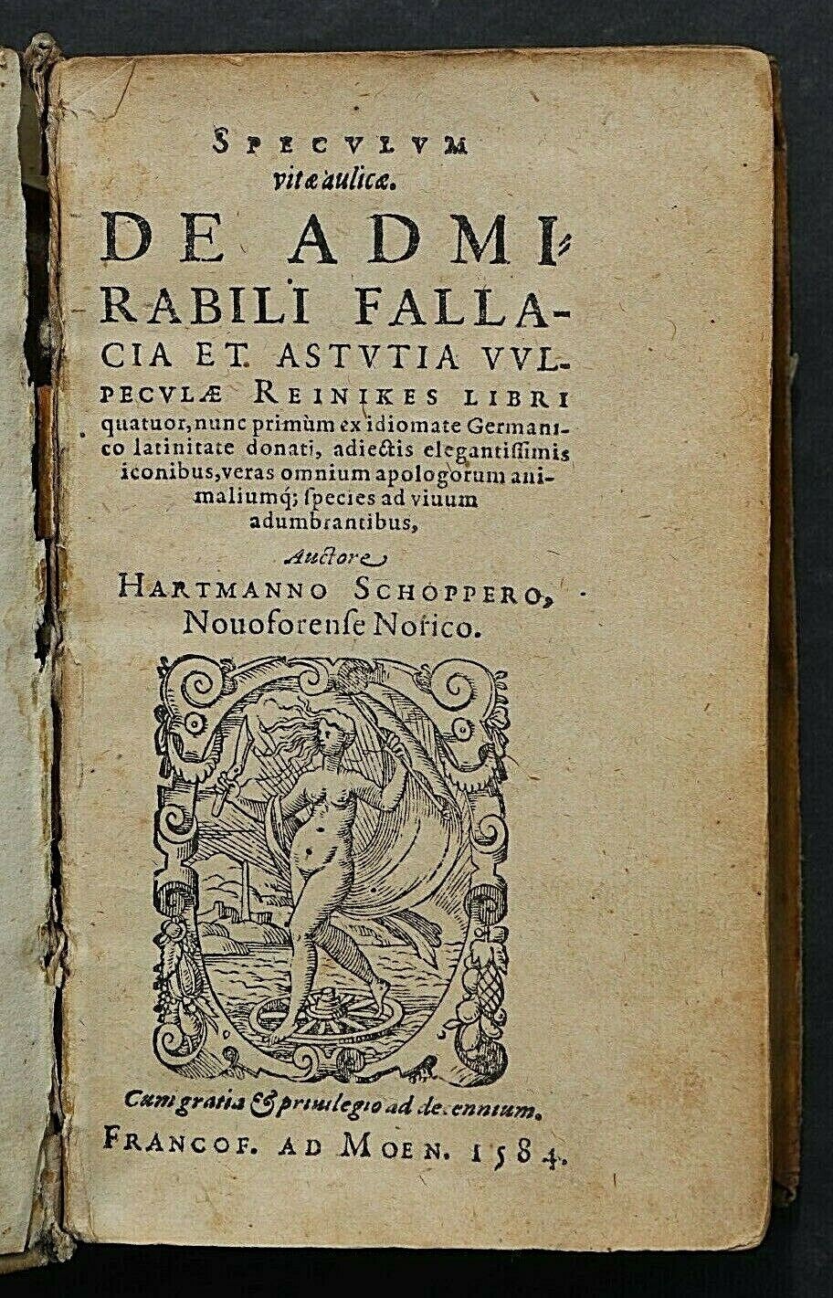 S786 Lis Przechera, 1584 r.