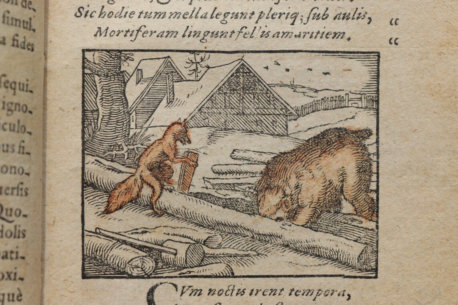 S786 Lis Przechera, 1584 r.