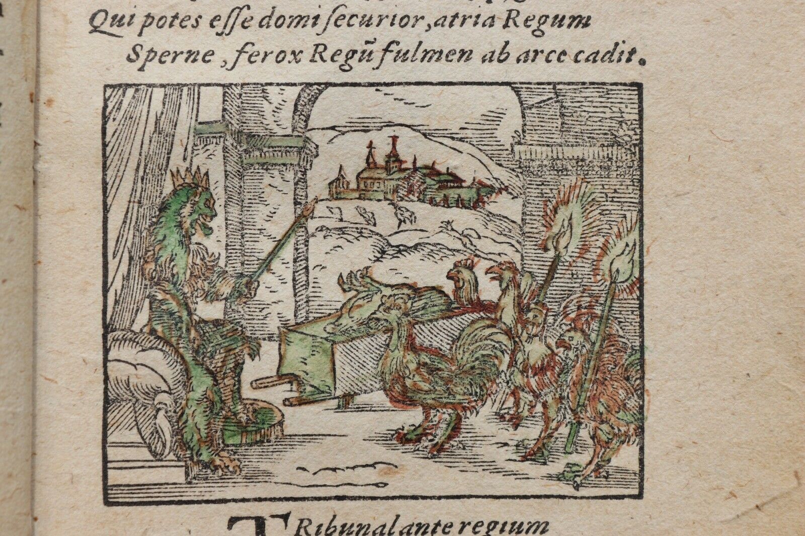 S786 Lis Przechera, 1584 r.