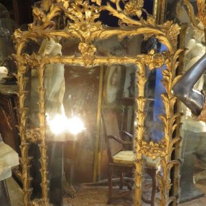 S1425 Lustro, XIX w.