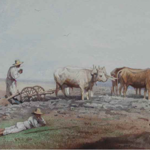 Ks606 Akwarela, Oryginał, Franciszek Tepa (1829 - 1889), Chłopi na roli