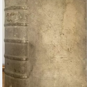 Ks978 Księga, Pojedyncze traktaty o przepisach i ustawach, 1742r. Język łaciński