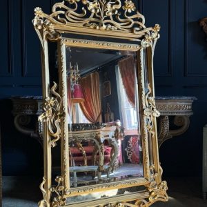 S2302 Lustro, XIX w.