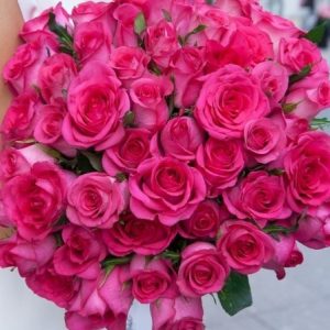 RÓŻA WIELKOKWIATOWA - CHERRY LADY