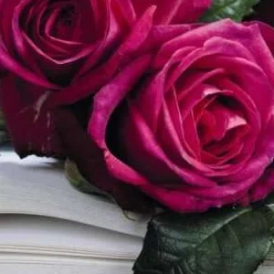 K512 Róża wielkokwiatowa J. W. VON GOETHE®