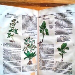 K730 KSIĘGA ZIOŁOWA. KSIĘGA DESTYLACYJNA