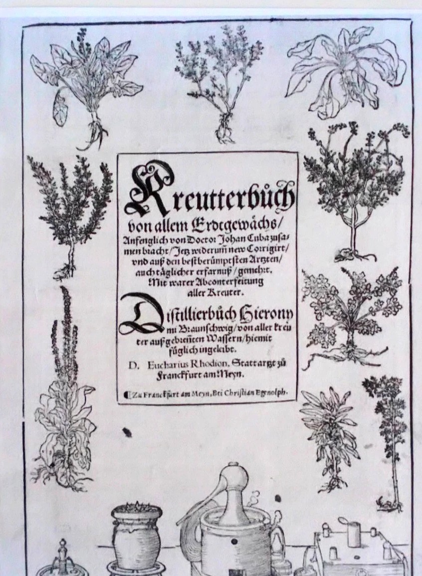 K730 KSIĘGA ZIOŁOWA. KSIĘGA DESTYLACYJNA - obrazek 5