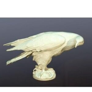 K756 Orzeł królewski