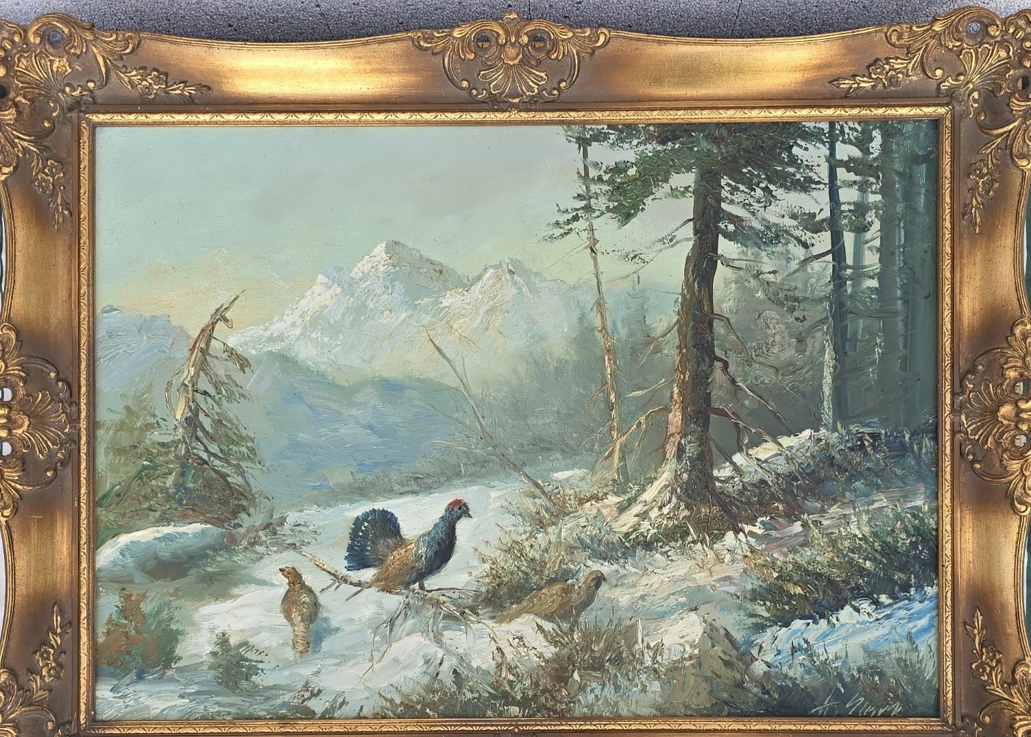 K800 Obraz Głuszec na Polanie