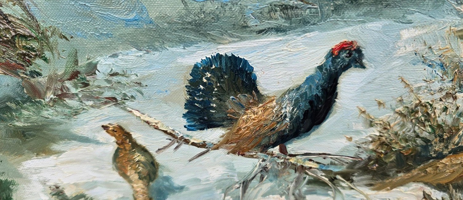 K800 Obraz Głuszec na Polanie - obrazek 4